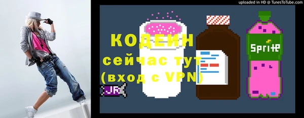 хмурый Осташков