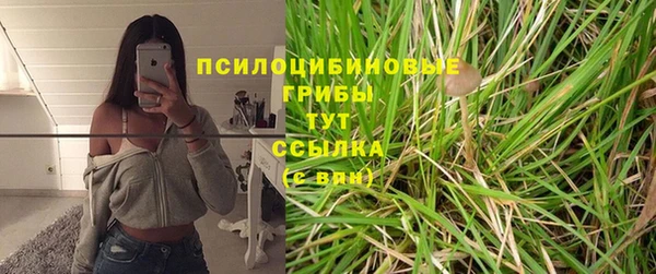 хмурый Осташков